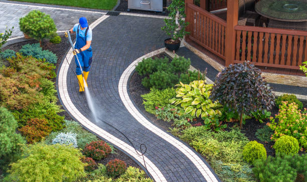 Best Deck Cleaning Services  in Taylors, SC